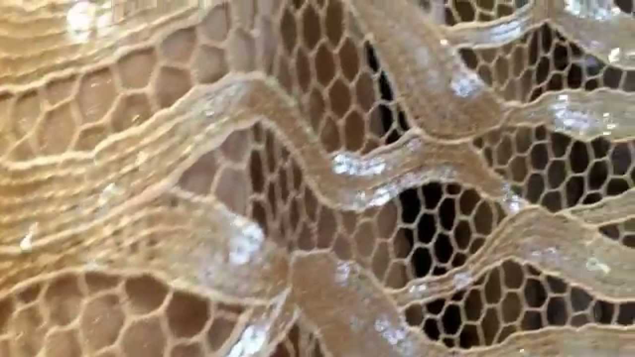 Guipure Dentelle en sequins , festonné tissu or. DENTELLE PERLE EN GRANDE LARGEUR CAFTAN