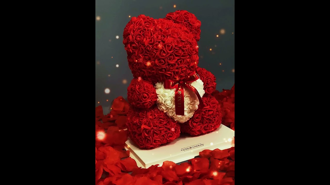 10 meilleurs idées de cadeaux d'aanniversar pour sa meilleure amie ( Cadeau pour Femme)