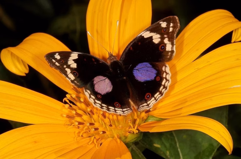 Pourquoi les Produits de Beauté Expirent : Guide de Conservation